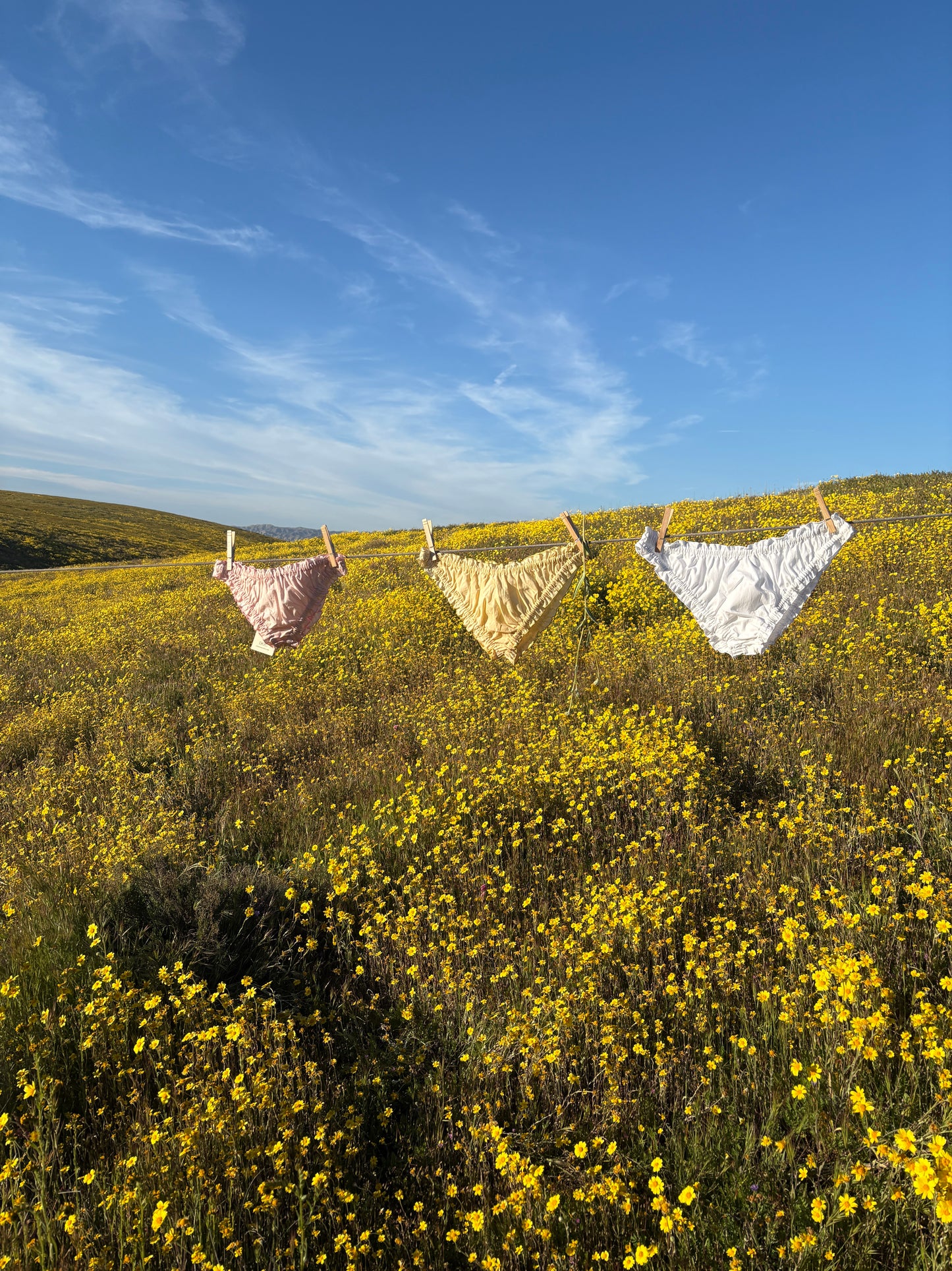 Botanical Bloomer Panties